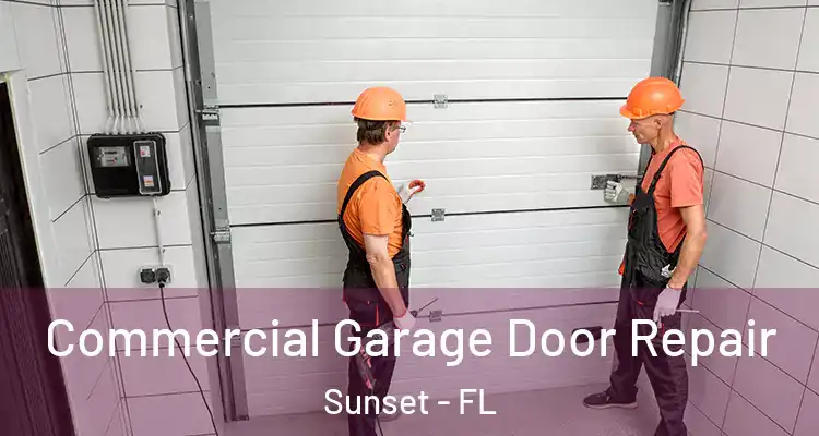  Commercial Garage Door Repair Sunset - FL