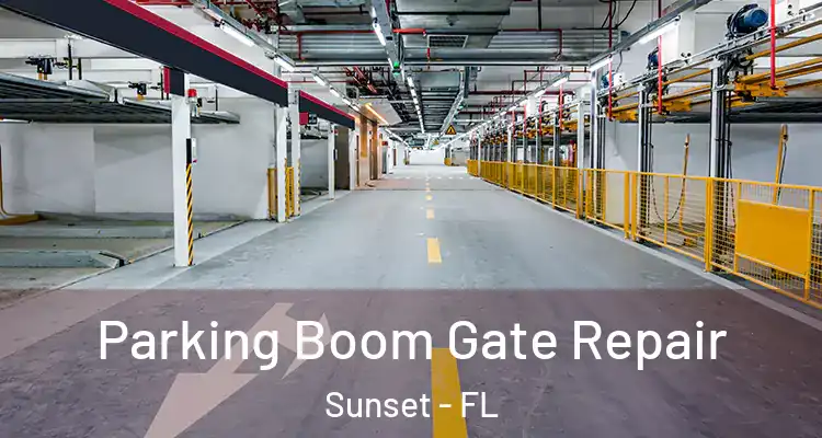  Parking Boom Gate Repair Sunset - FL
